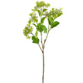 Hydrangea Spray Green | 31"