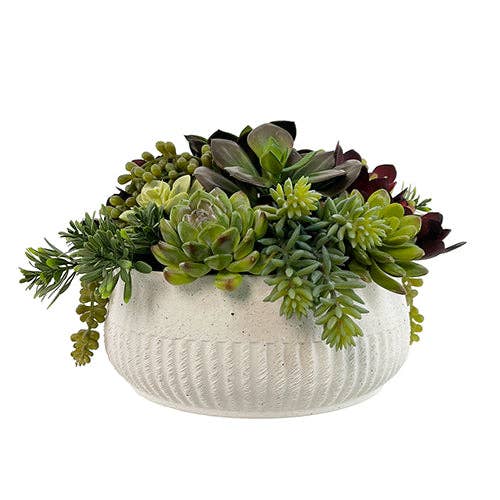 Faux Succulent Arrangement, Potted, Round Pot, White, 12 in
