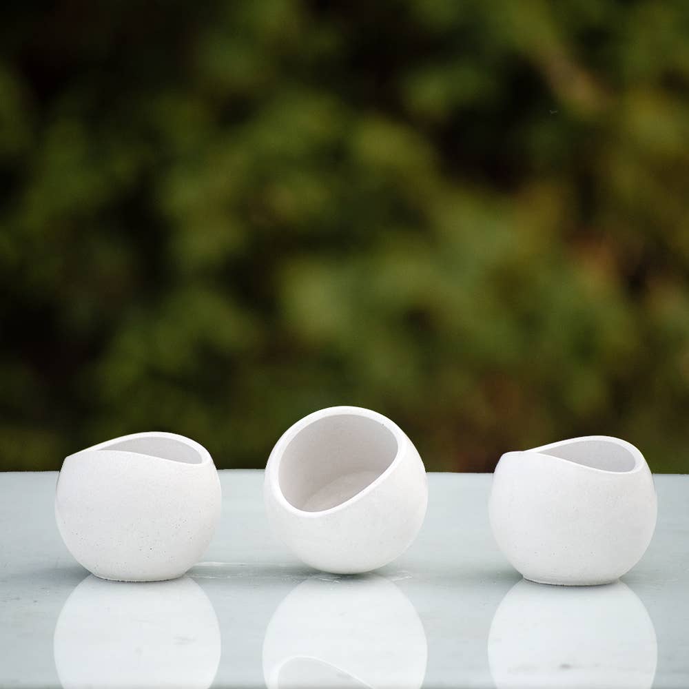Succulent Mini Pot Curved Shaped