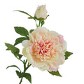 25.5"- Real Touch Peony Stem - 2 Blooms
