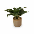 Artificial 7-inch Hosta Plant in Ceramic Vase with Chevron Design Faux
