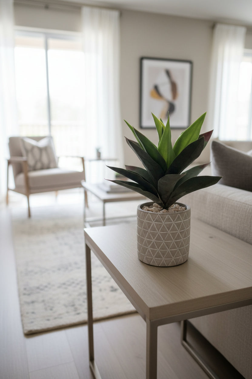 Agave Plant with 19 Leaves in a Cement Cachepot with Diamond Embossed Pattern