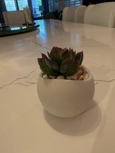 Artificial Echeveria in Handcrafted Mini Cement Pot