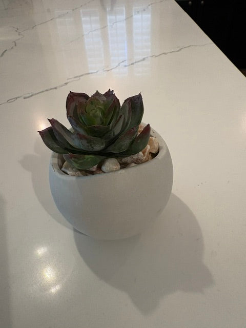 Artificial Echeveria in Handcrafted Mini Cement Pot