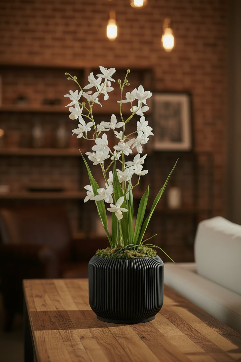 Orchids in Black Modern Cachepot 20.5-inch