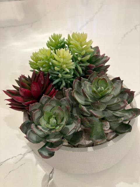 Artificial Echeveria Succulent in Round Handcrafted Cement Bowl