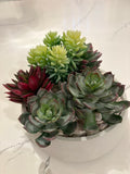 Artificial Echeveria Succulent in Round Handcrafted Cement Bowl