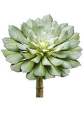 9"H x 6"D Echeveria Pick Green Gray