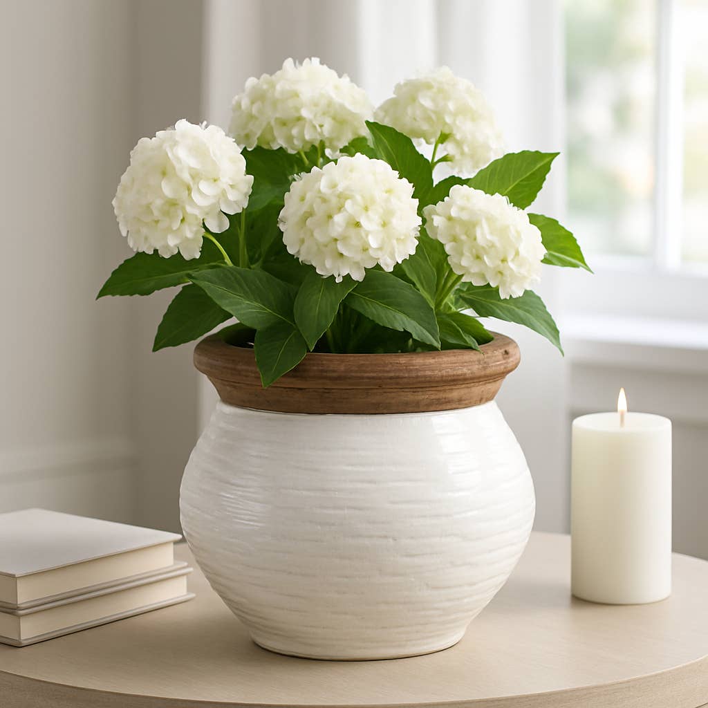 Plant Pot - White/Tan Ceramic Round Tapered Textured, 8 in.