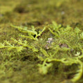 10" x "18" Artificial Flat Grass & Moss Mat