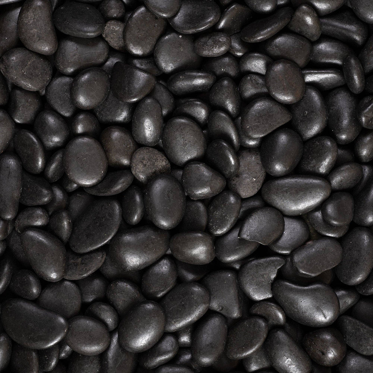 The Spotted Donkey black natural river rocks for decorative landscaping, terrariums, and indoor plant displays.