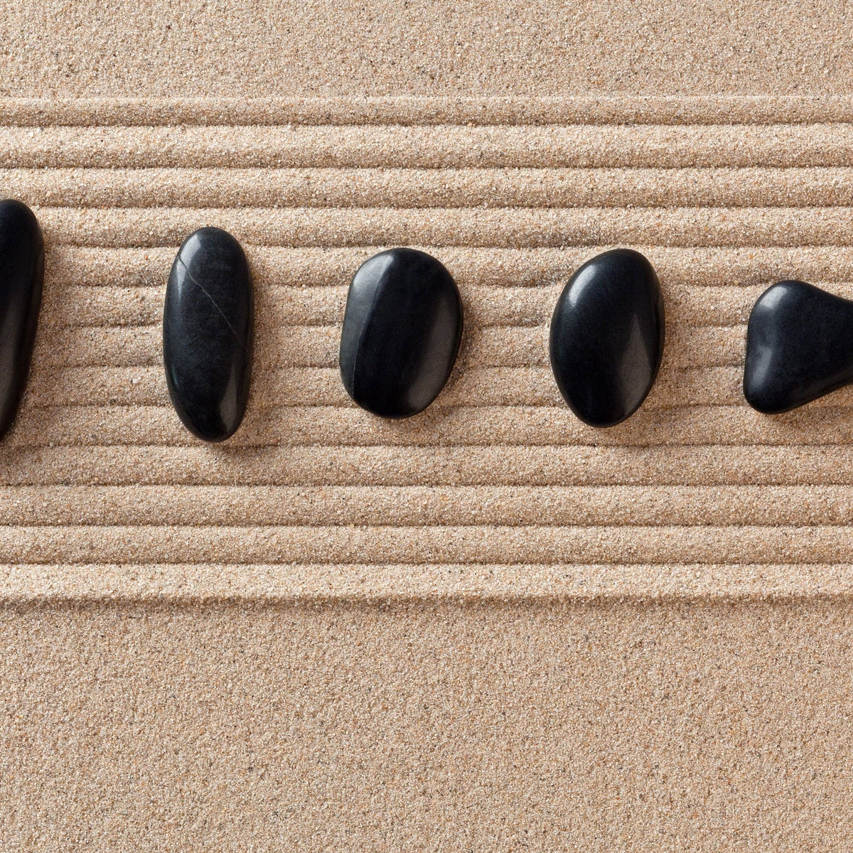 The Spotted Donkey black natural river rocks arranged in a zen garden sand pattern for home decor and plant displays.