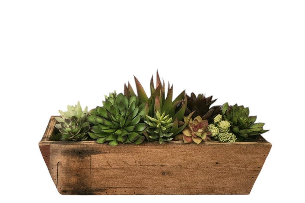 The Spotted Donkey artificial succulent arrangement in a rustic handmade barnwood dough bowl with preserved moss.