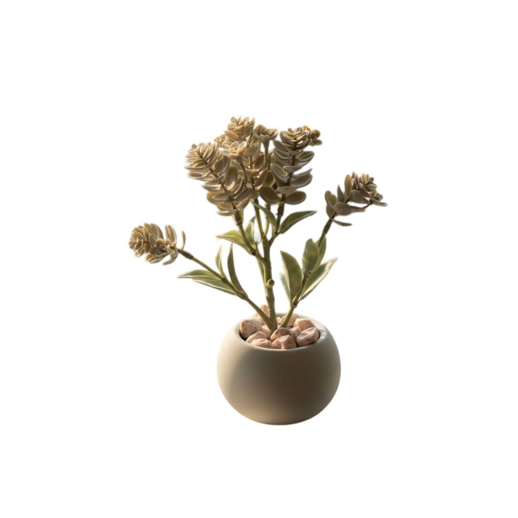 The Spotted Donkey artificial sage green flowering succulent in a small handcrafted cement pot on a windowsill.