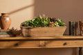 The Spotted Donkey artificial succulent arrangement in a rustic handmade 18-inch barnwood dough bowl with moss.