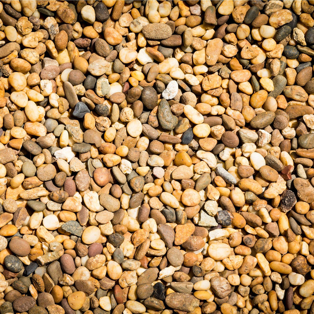The Spotted Donkey multi-color polished river rocks for decorative landscaping, terrariums, and plant displays.