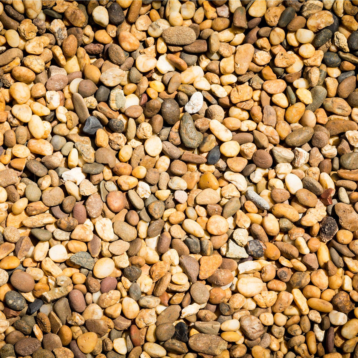 The Spotted Donkey multi-color polished river rocks for decorative landscaping, terrariums, and plant displays.