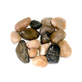 The Spotted Donkey multi-colored polished river rocks for decorative plant displays and terrariums.