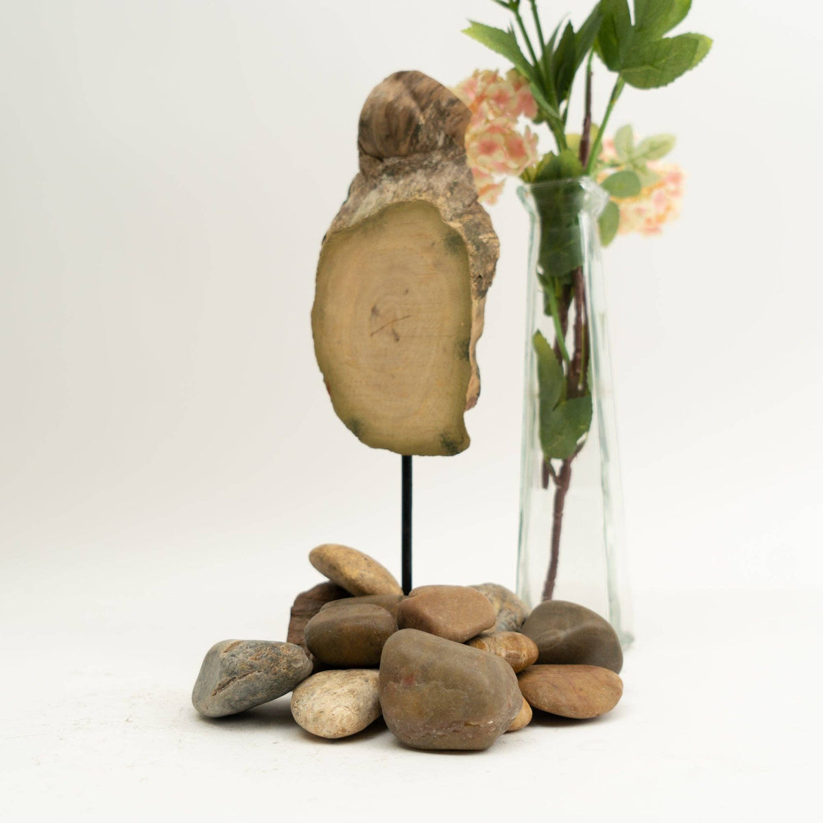 The Spotted Donkey multi-color polished river rocks arranged for decorative plant display with a wood slice stand.