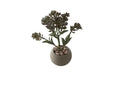 The Spotted Donkey artificial sage green flowering succulent in a small handcrafted cement pot with decorative stones.