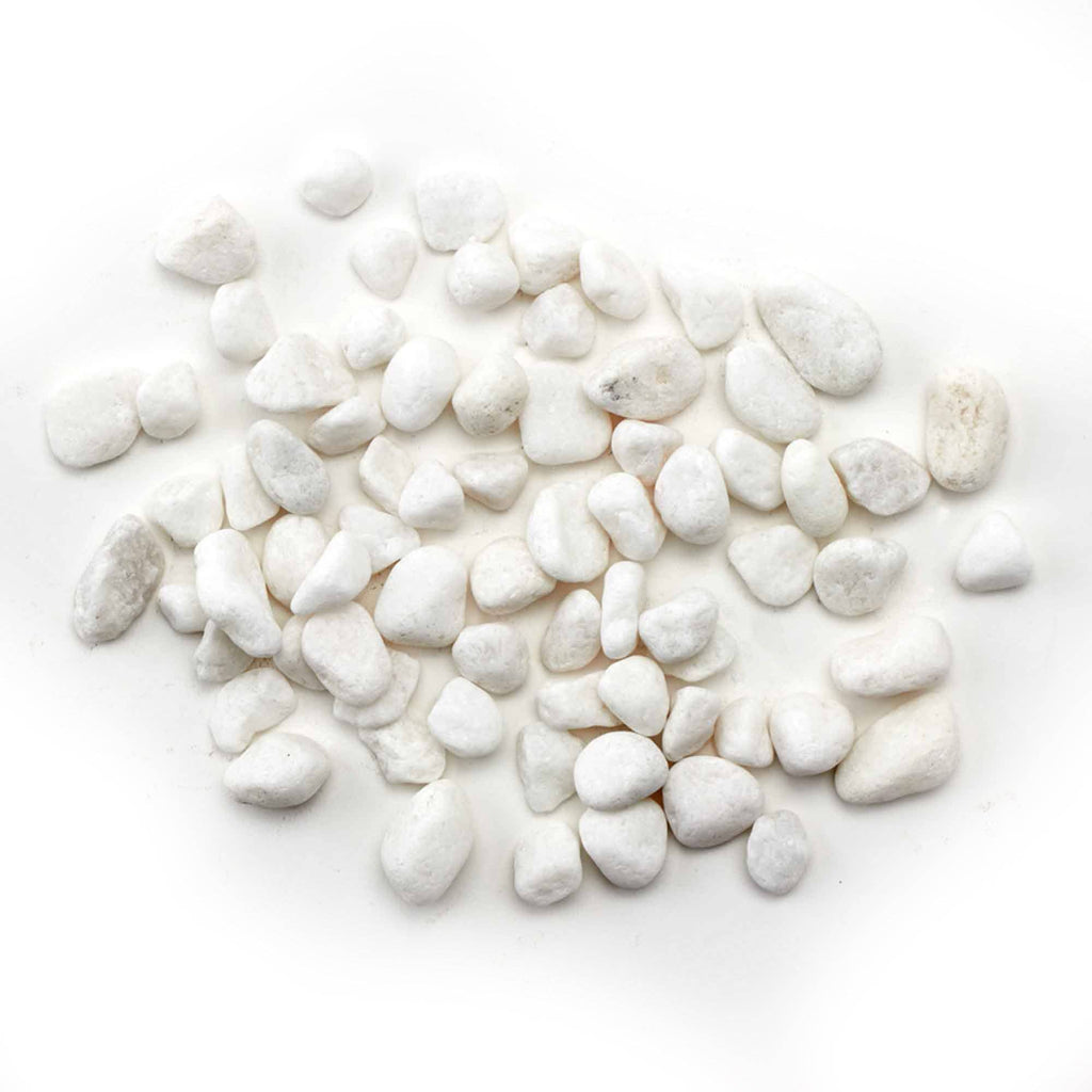 The Spotted Donkey white river rock pebbles for decorative potting, terrariums, and plant displays in a 2.2 lb bag.
