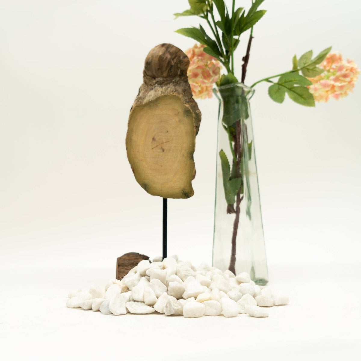 The Spotted Donkey white decorative river rock pebbles arranged for plant potting and home decor display